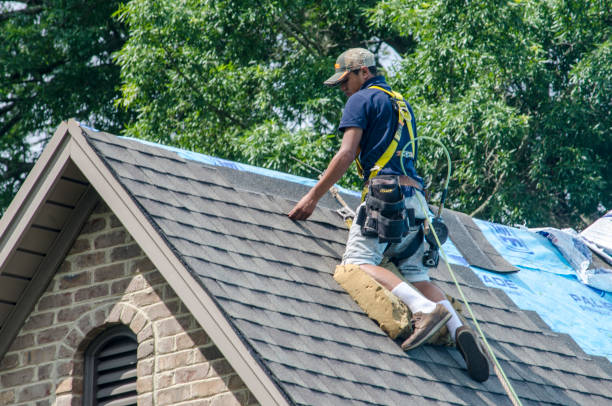 Best Gutter Installation and Roofing  in Springboro, OH